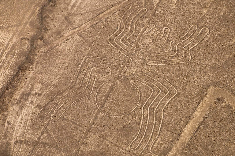 Från Ica: Överflygning av Nazca-linjerna