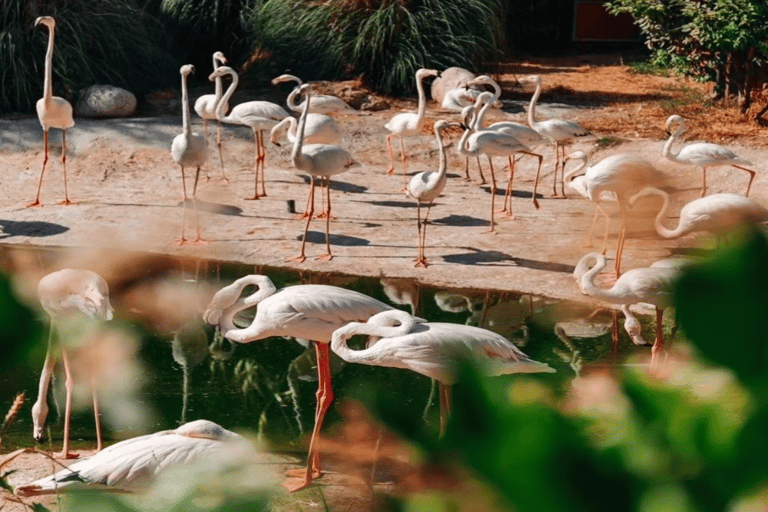 Baku: Fauna and Flora Tour