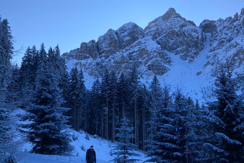 Ehrwald : Randonnée en raquettes à Zugspitze avec vue sur les montagnes