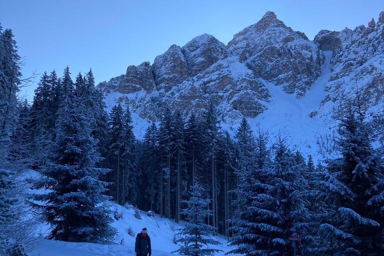 Ehrwald : Randonnée en raquettes à Zugspitze avec vue sur les montagnes