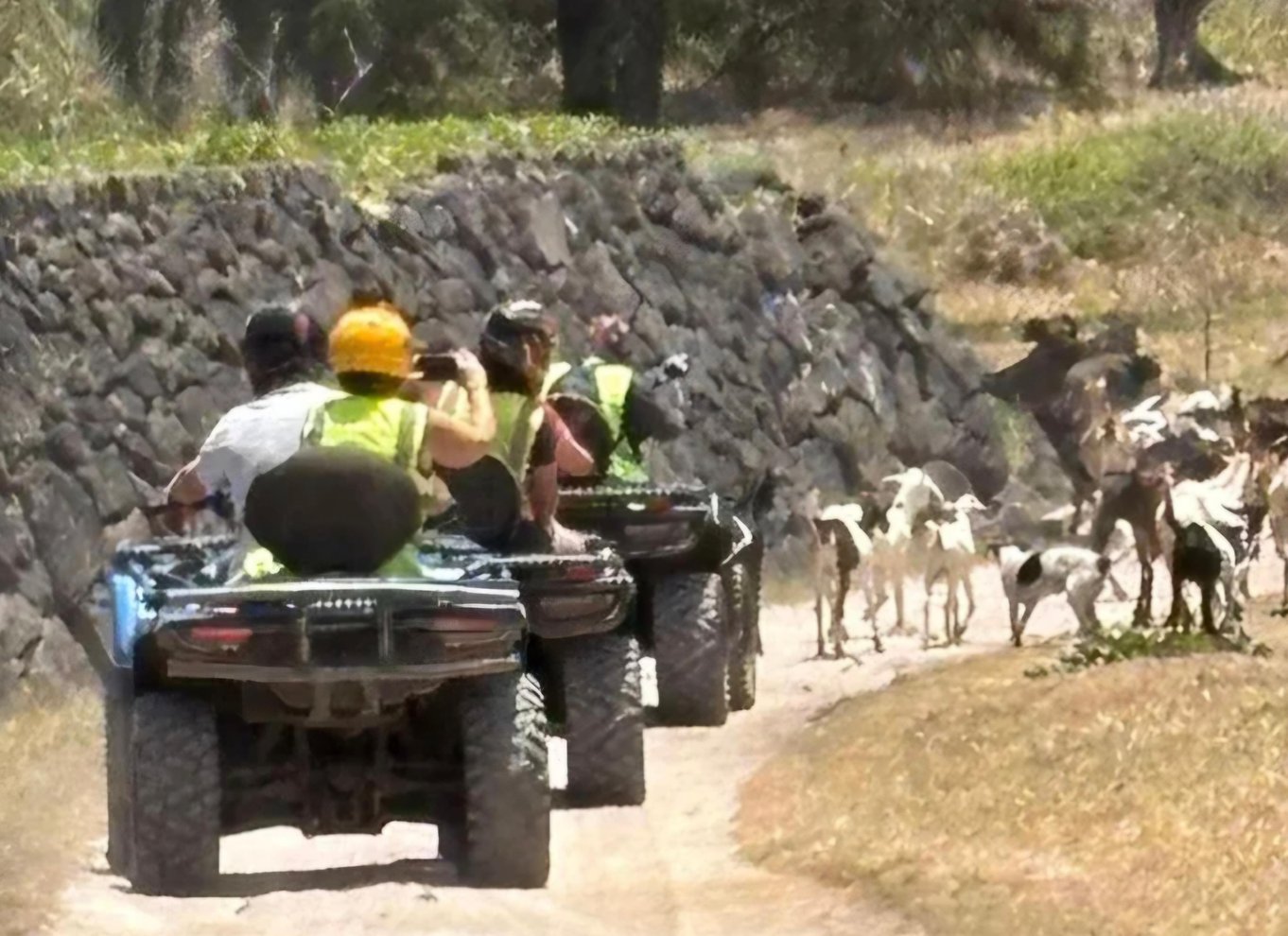 Den sydlige del af Mauritius: Quad Bike-tur