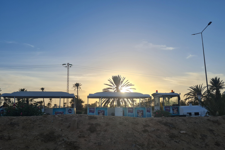 正宗杰尔巴：日落马车之旅和东方小吃正宗杰尔巴岛：日落马车之旅和免费东方小吃