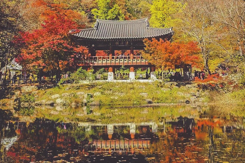Naejangsan: Hoogtepunt van een Koreaanse herfst dagtrip vanuit SeoulRetourvlucht vanaf Myeongdong Station Exit 3