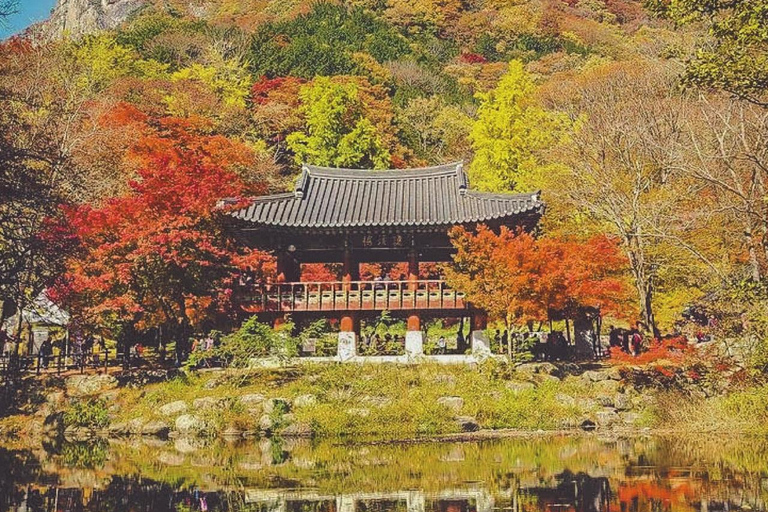 Naejangsan: Hoogtepunt van een Koreaanse herfst dagtrip vanuit SeoulRetourvlucht vanaf Myeongdong Station Exit 3
