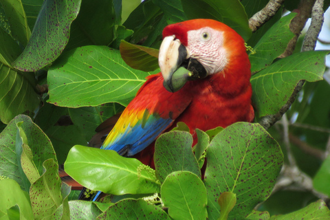 Corcovado National Park: Sirena Day Tour Drake Bay-Corcovado