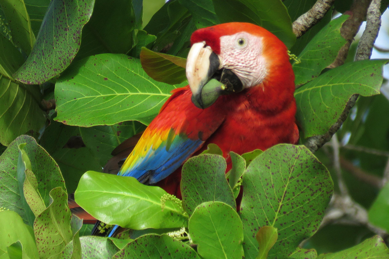 Corcovado National Park: Sirena Day Tour Drake Bay-Corcovado