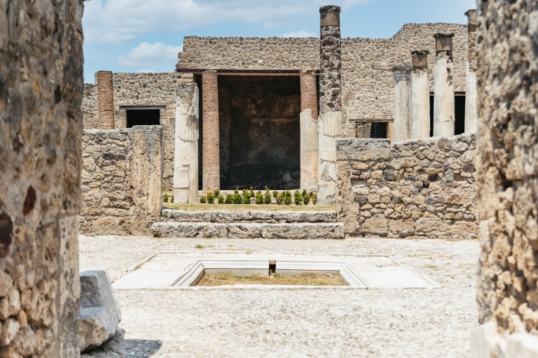 Vanuit Napels: dagexcursie naar Pompeii en de VesuviusRondleiding met gids in het Italiaans - ophaalservice Centraal Station