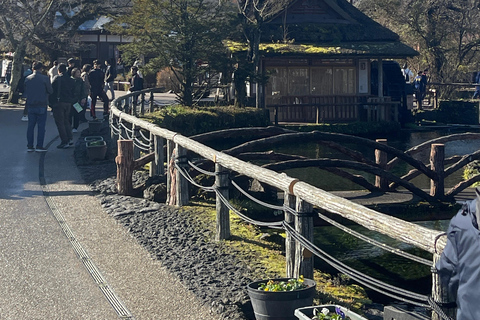 Vanuit Tokio: Privétour naar de berg Fuji met Engelse gidsTokio: Privétour naar de berg Fuji, helemaal naar jouw wensen