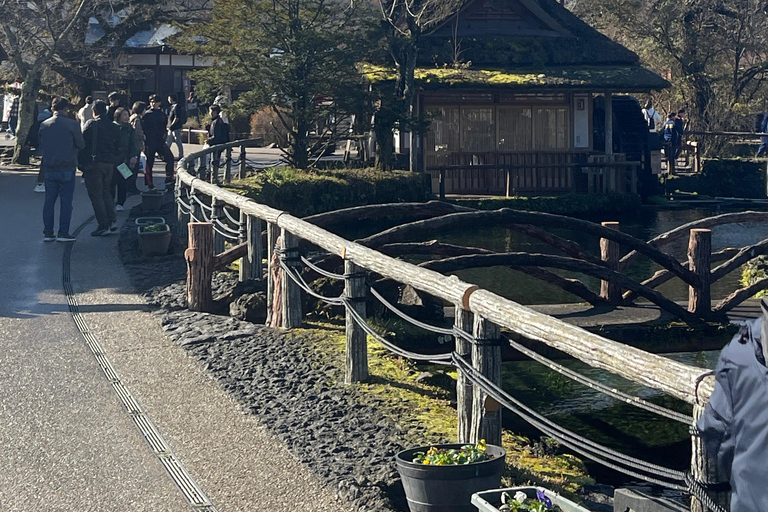 Vanuit Tokio: Privétour naar de berg Fuji met Engelse gidsTokio: Privétour naar de berg Fuji, helemaal naar jouw wensen