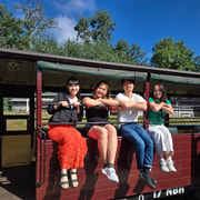 From Melbourne: Puffing Billy Private Tour - Up to 11 pax
