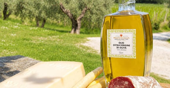 Moniga: Valtenesi Wine Tour and tasting with Lake view
