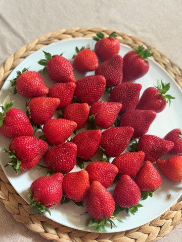 Visit berry tasting (strawberries, raspberries and blueberries) in Parque Nacional de Doñana