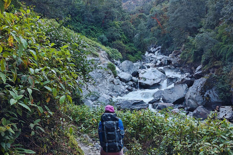 8日朗塘谷地徒步之旅（初级路线）8天朗塘谷地徒步之旅（初级者适用）