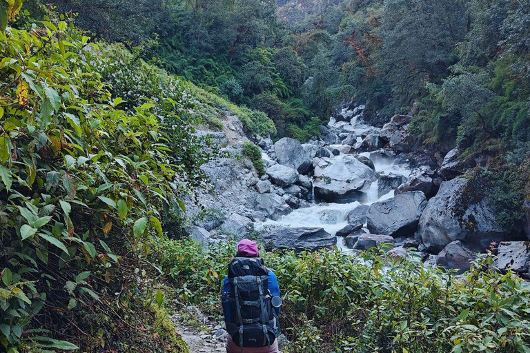 8日朗塘谷地徒步之旅（初级路线）8天朗塘谷地徒步之旅（初级者适用）