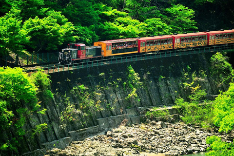 Hozugawa River Cruise & Sagano Train Experience Depart From Kyoto 9:20AM