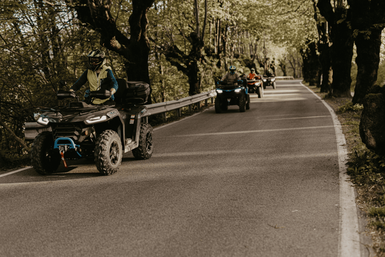 Bled: Full-Day Quad Rental