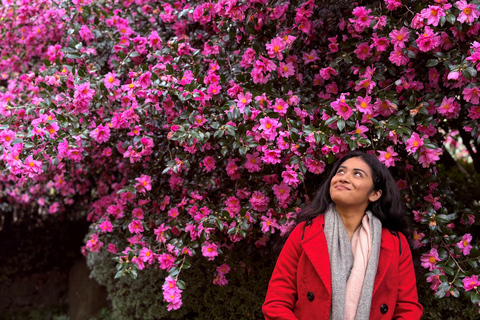 Jeju Trendy Café Tour and When Life Gives You Tangerines