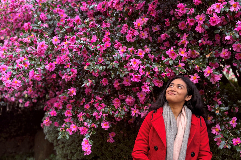 Jeju Trendy Café Tour and When Life Gives You Tangerines