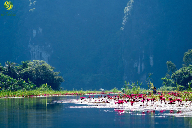 Hanoi: Trang An UNESCO, Mua Cave, Hoa Lu or Dich Long Pagoda GROUP: Hoa Lu, Trang An UNESCO BOAT, Mua Cave, Buffet, Cycle
