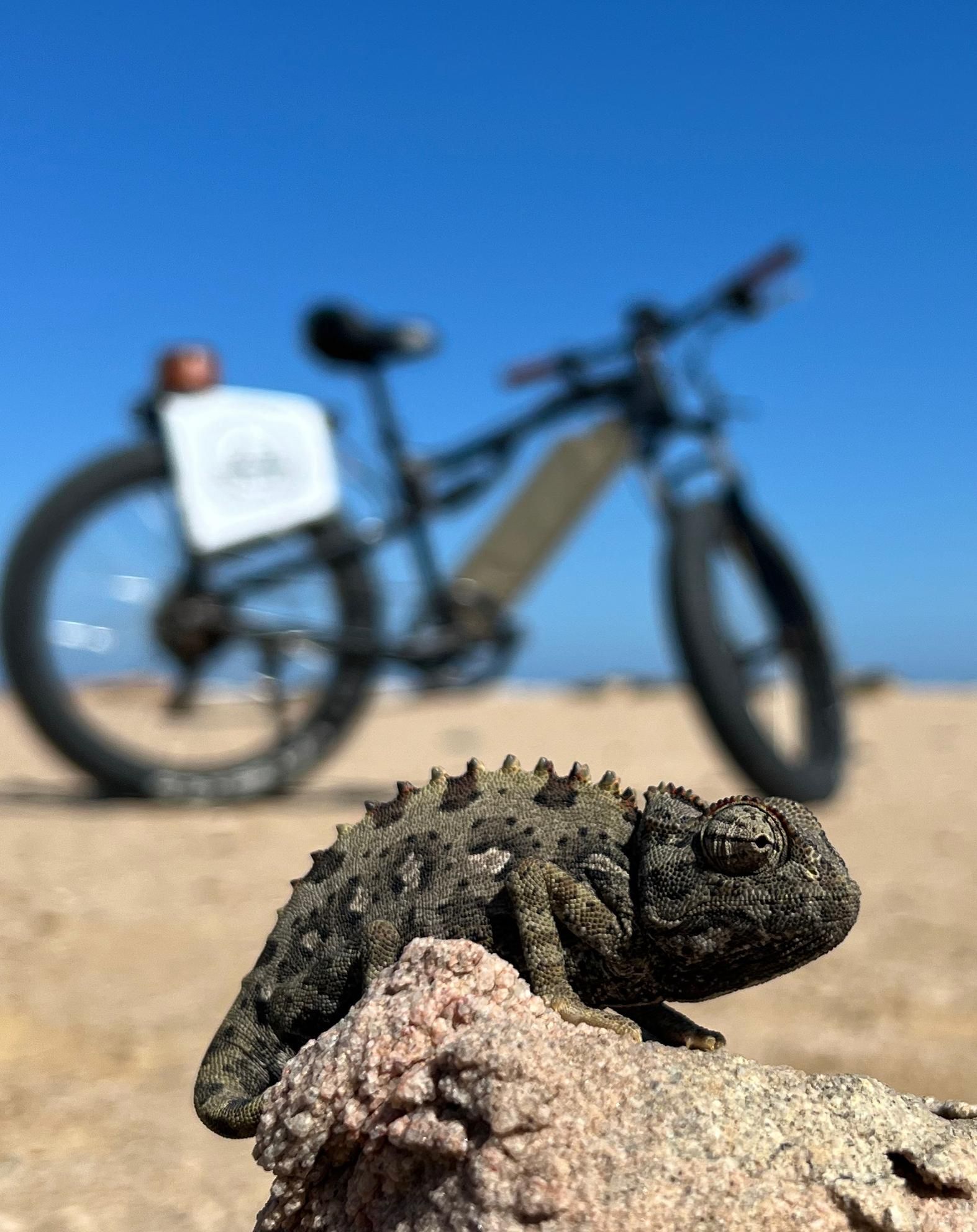 Swakopmund: "UP CLOSE" Living Desert E-FatBike Tour