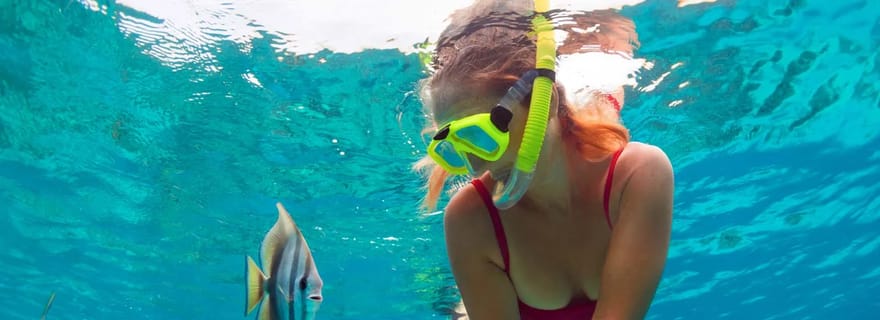 Excursion de plongée avec tuba au Blue Lagoon avec déjeuner et transferts privés