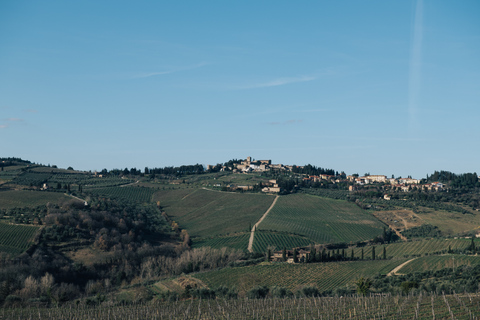 Von Florenz aus: Chianti-Hügel Halbtagestour mit WeinverkostungWeinkeller-Tour auf Englisch