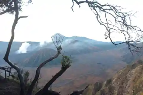 2Days1Nights Bromo midnight-Ijen crater drop Ketapang port