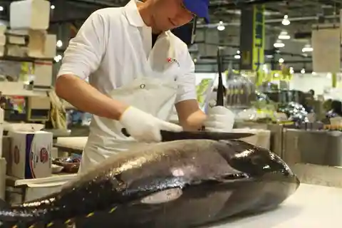Au départ d'Osaka : Shirahama Onsen, visite d'une jounée du marché de Toretore
