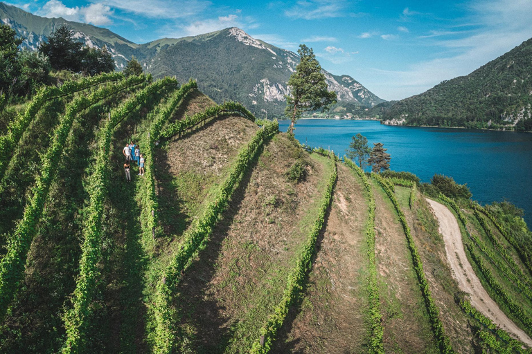 Ledro Lake: Guided Tour & Wine Tasting Among the Vines English