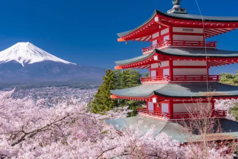 From Tokyo: Mount Fuji and Hakone Private Customize tour