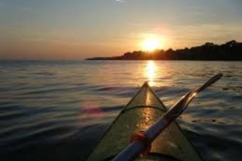 Guided kayak excursion: A Peaceful Odyssey