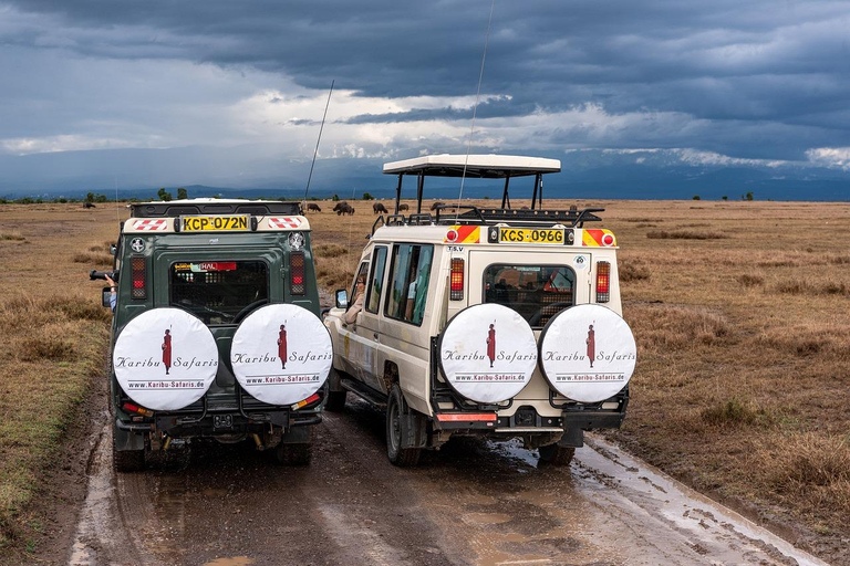 Escursione di un giorno al Parco Nazionale del Lago Nakuru da Nairobi