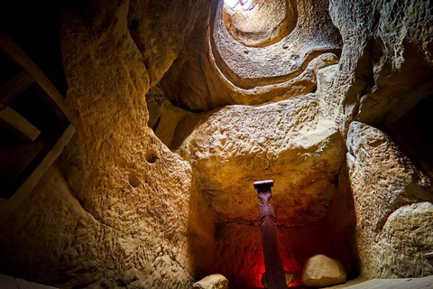 Brașov: Transylvania Day Trip with Guide and Snacks