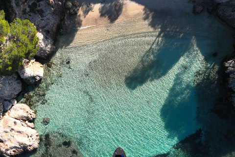 Tour: Gita in barca nella baia di Palma con snorkeling e paddle surf