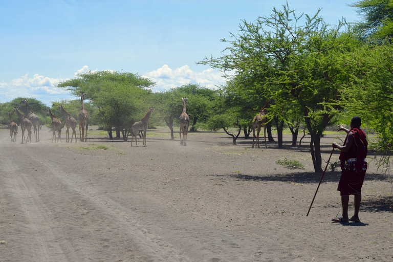 Arusha: Lake Natron Day Trip (Lake Walk &amp; Waterfall Hike)