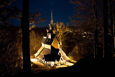 Visite guidée privée de la ville de Bergen - 8 attractions principales