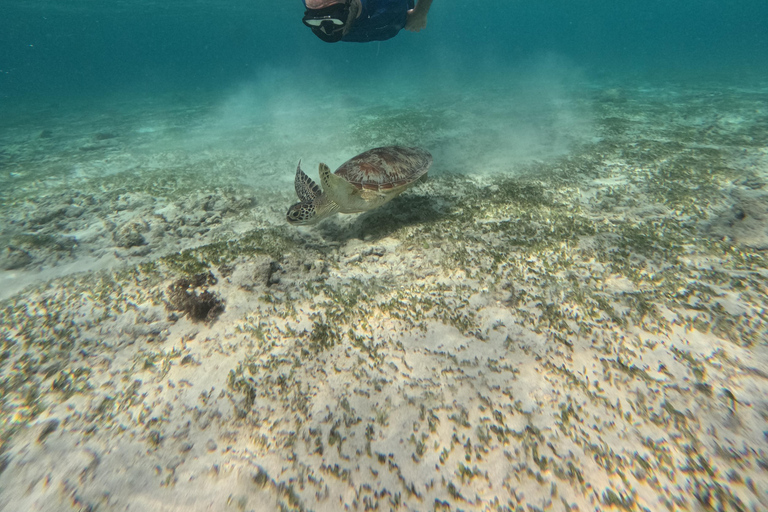 Gili Air: Small-Group Snorkeling Tour with GoPro