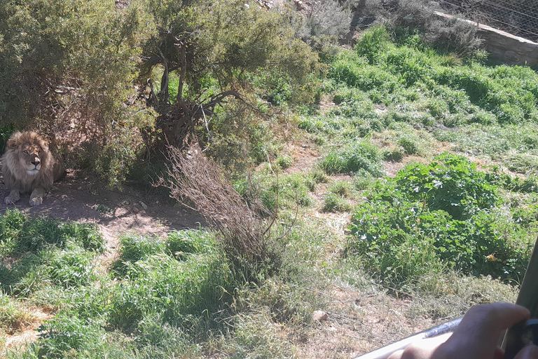 Cape Town Aquilla big sunset safari With transport & food aquila sunset bestseller