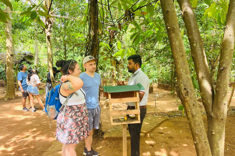 From Kandy: Sigiriya Day Tour with Elephant Safari(group)