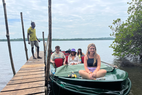 Port de croisière de Colombo : Galle, Écloserie de tortues et safari fluvial