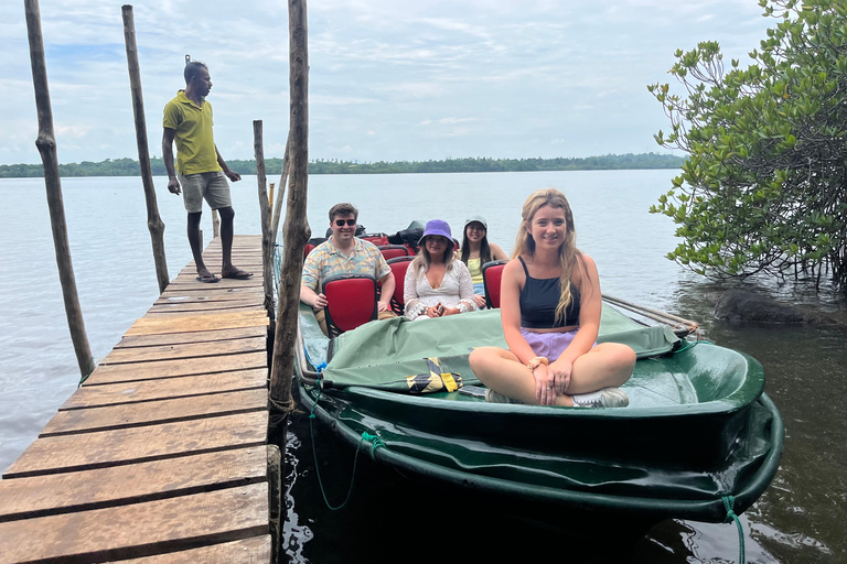 Colombo Cruisehaven: Galle, schildpaddenkwekerij &amp; riviersafari