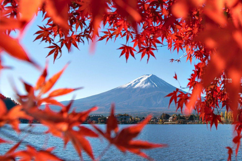 Tokyo: Mt Fuji, Arakura Sengen Park, Oshino Hakkai Bus Tour From Shinjuku to Mt Fuji at 8:30AM