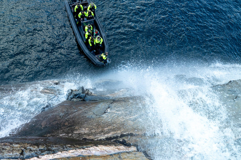 Bergen: Modalen RIB Fjord Safari with Lunch & Transfer