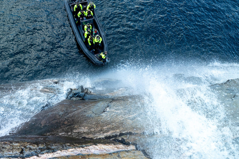 Bergen: Modalen RIB Fjord Safari with Lunch & Transfer
