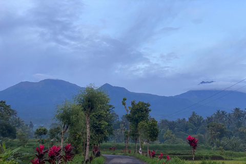 特特巴图：瀑布、香料、梯田、猴子森林特特巴图之旅、香料、瀑布、梯田、猴林