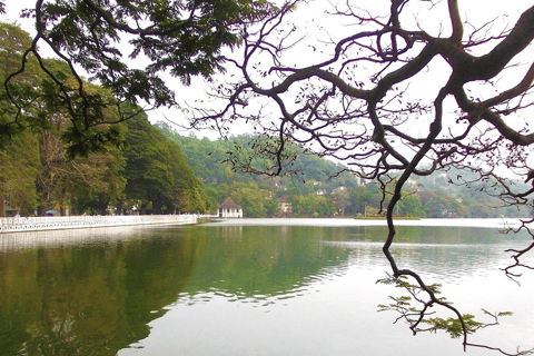 Kandy: Private Tuk-Tuk Tour with Tea Tasting & Hotel Pickup