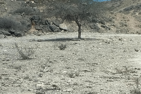 Salalah Secret Beach Tour with Dinner and Snacks