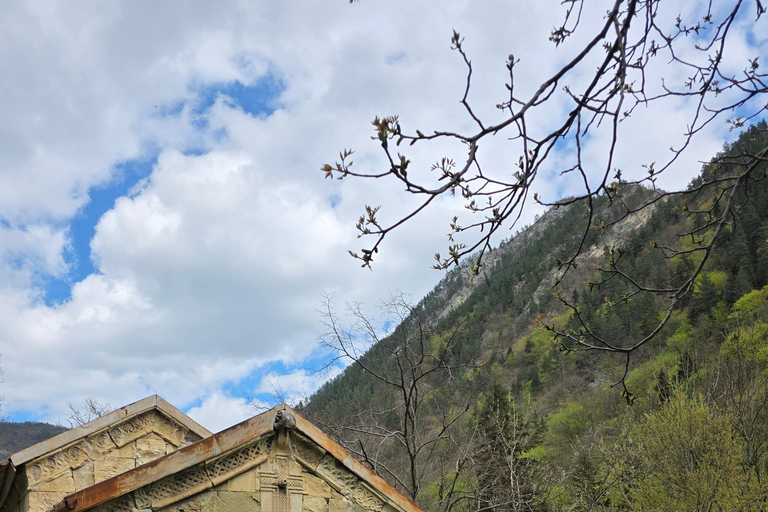 Hiking the Secret Rkoni: Historic Path & Forest Picnic