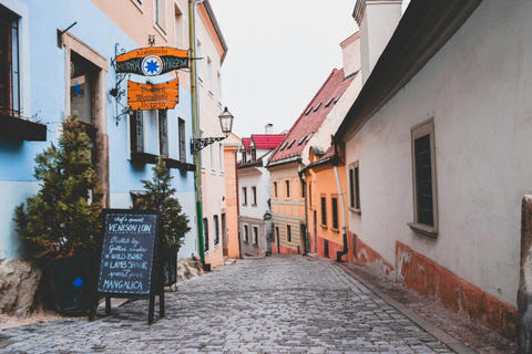 De Viena: Viagem de 1 dia a Bratislava com almoço tradicionalDe Viena: Viagem de 1 dia a Bratislava com almoço e bebida