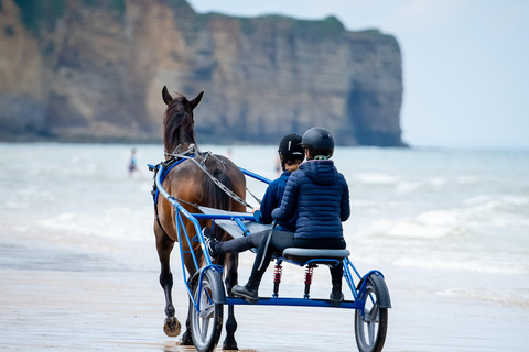 Omaha Beach: Sulky-Taufe am Strand